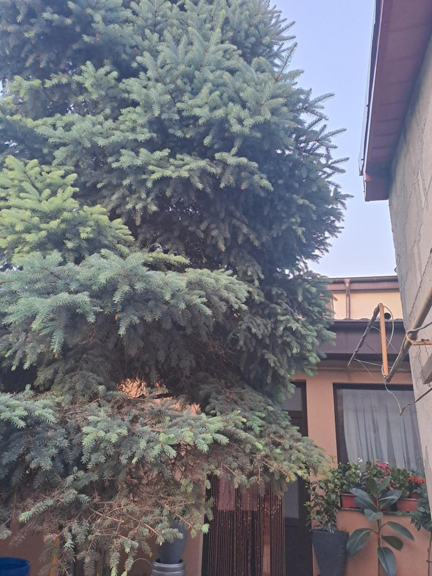 Casa Rusu Apartment Galati  Exterior photo